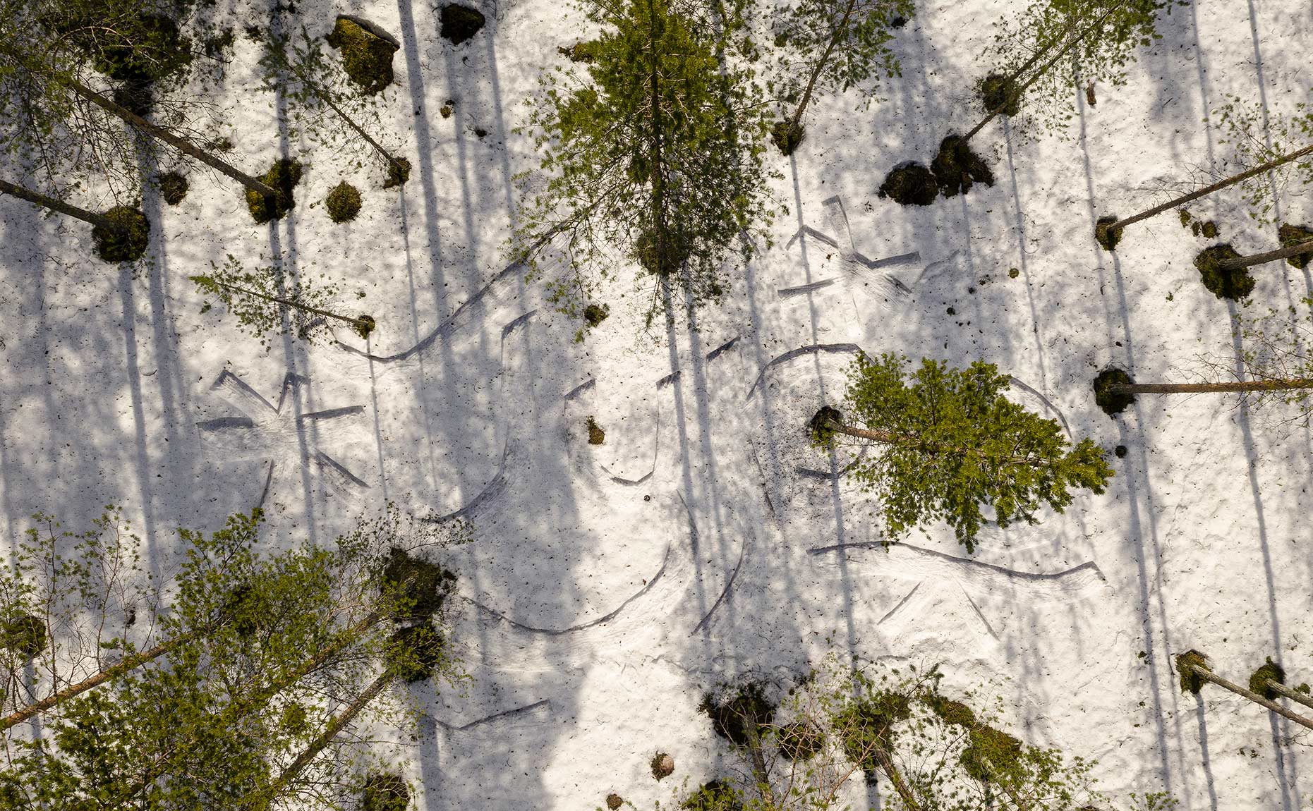 Environmental art project